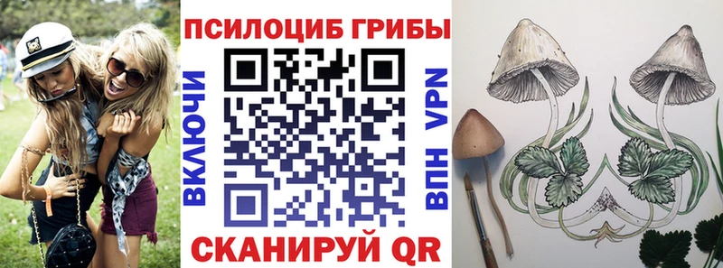Псилоцибиновые грибы Cubensis  Анжеро-Судженск 